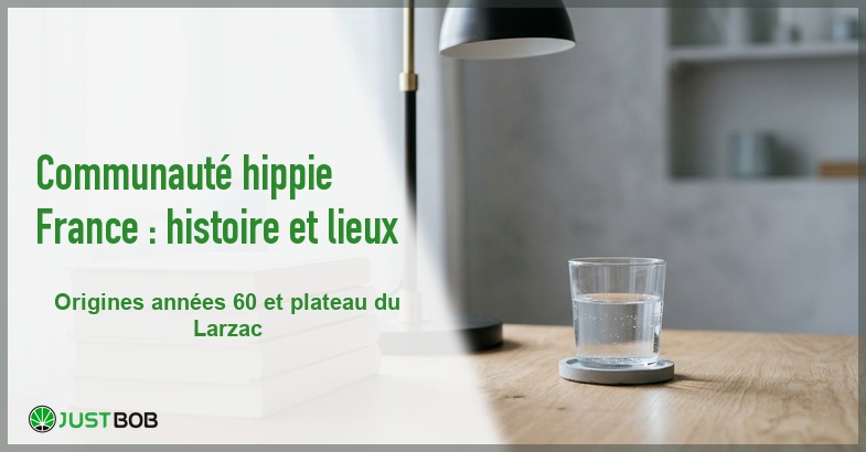 Banner de l'article communauté hippie france : histoire et lieux