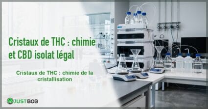 Banner de l'article cristaux de thc : chimie et cbd isolat légal