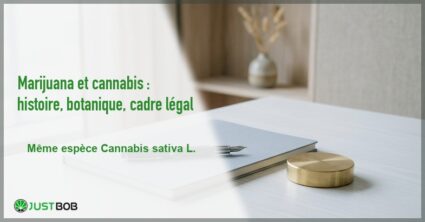 Banner de l'article marijuana et cannabis : histoire, botanique, cadre légal