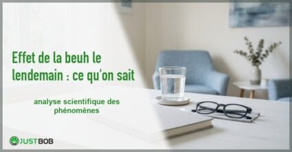 Banner de l'article effet de la beuh le lendemain : ce qu'on sait
