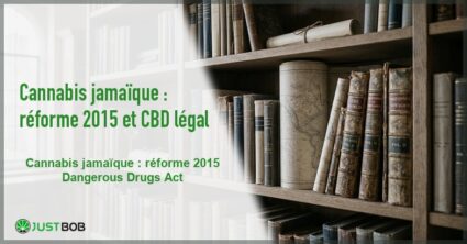 Banner de l'article cannabis jamaïque : réforme 2015 et cbd légal