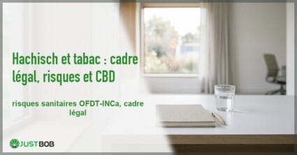 Banner de l'article hachisch et tabac : cadre légal, risques et cbd