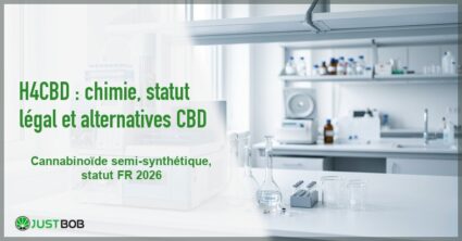 Banner de l'article h4cbd : chimie, statut legal et alternatives cbd
