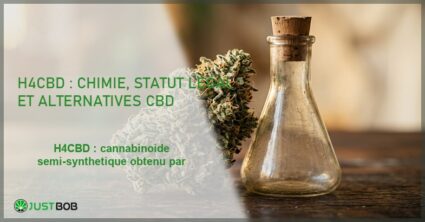 Banner de l'article h4cbd : chimie, statut legal et alternatives cbd