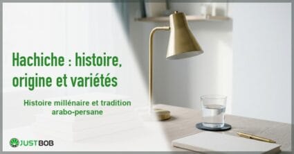 Banner de l'article hachiche : histoire, origine et variétés