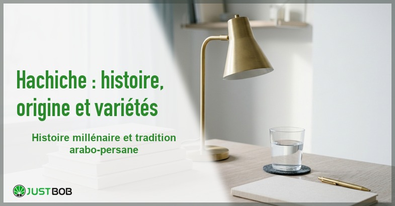 Banner de l'article hachiche : histoire, origine et variétés