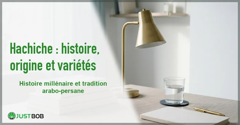 Banner de l'article hachiche : histoire, origine et variétés