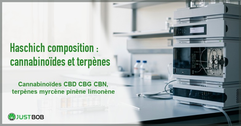 Banner de l'article haschich composition : cannabinoïdes et terpènes