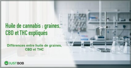 Banner de l'article huile de cannabis : graines, cbd et thc expliques