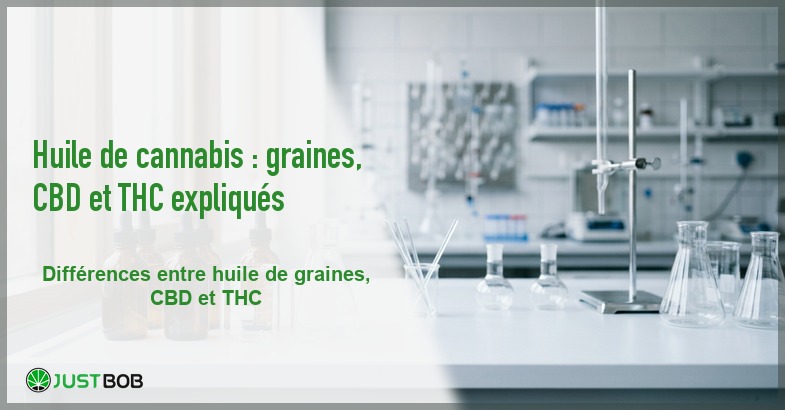 Banner de l'article huile de cannabis : graines, cbd et thc expliques