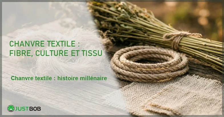 featured-le-chanvre-textile Banner de l'article chanvre textile : fibre, culture et tissu