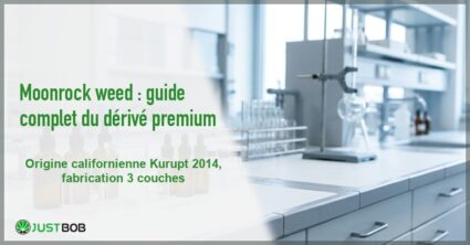 Banner de l'article moonrock weed : guide complet du derive premium