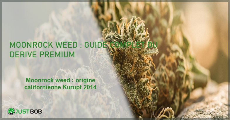 Banner de l'article moonrock weed : guide complet du derive premium