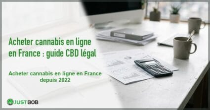 Banner de l'article acheter cannabis en ligne en france : guide cbd légal