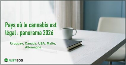 Banner de l'article pays où le cannabis est légal : panorama 2026