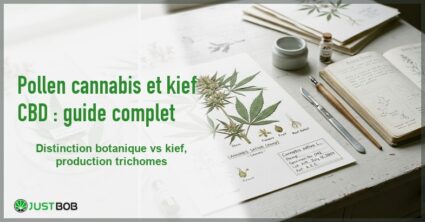 Banner de l'article pollen cannabis et kief cbd : guide complet