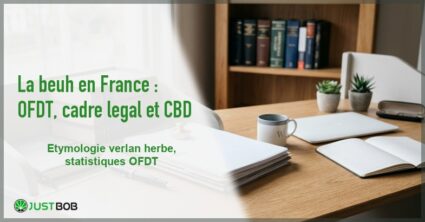 Banner de l'article la beuh en france : ofdt, cadre légal et cbd
