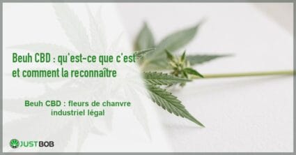 Banner de l'article beuh cbd : qu'est-ce que c'est et comment la reconnaître