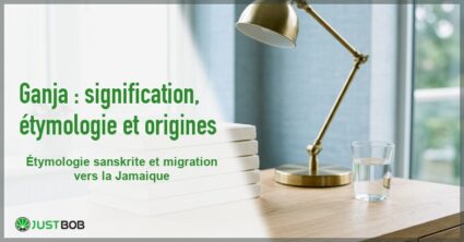 Banner de l'article ganja : signification, étymologie et origines