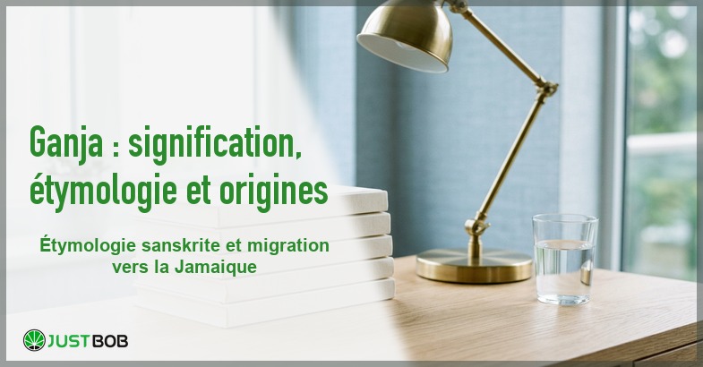 Banner de l'article ganja : signification, étymologie et origines