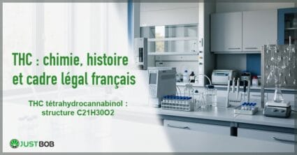 Banner de l'article thc : chimie, histoire et cadre légal français