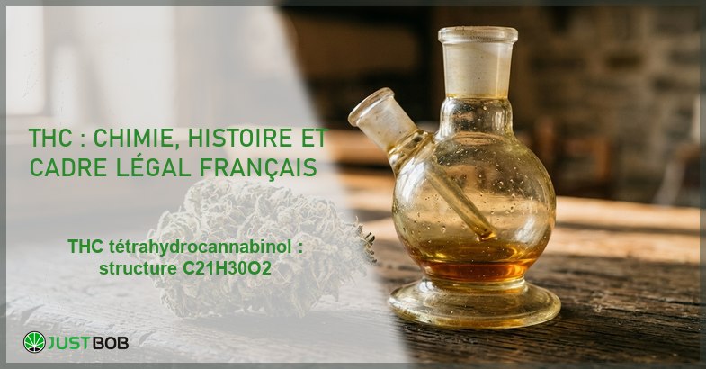 Banner de l'article thc : chimie, histoire et cadre légal français