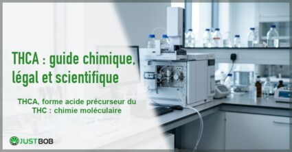 Banner de l'article thca : guide chimique, légal et scientifique