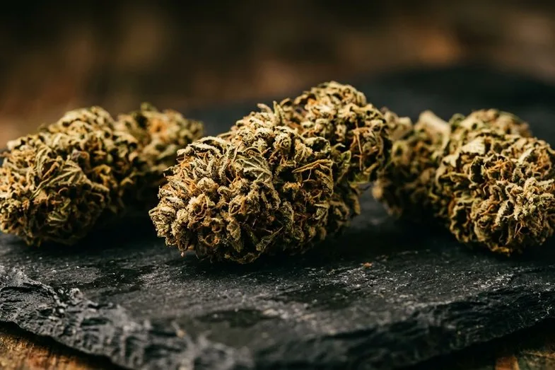 cannabinoides-profil-chanvre-industriel-europeen Inflorescences séchées de chanvre CBD industriel disposées sur ardoise sombre avec macro de trichomes cristallins