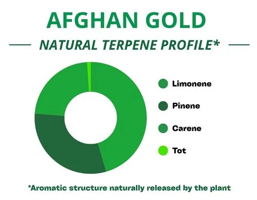 Diagramme circulaire du profil terpénique de la variété Afghan Gold