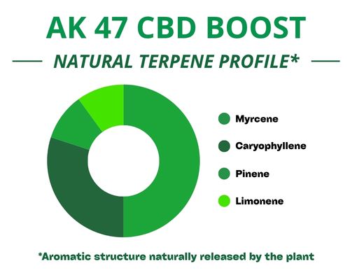 Diagramme circulaire du profil terpénique de la variété Ak47 Cbd Boost