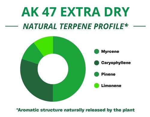 Diagramme circulaire du profil terpénique de la variété Ak47 Extra dry