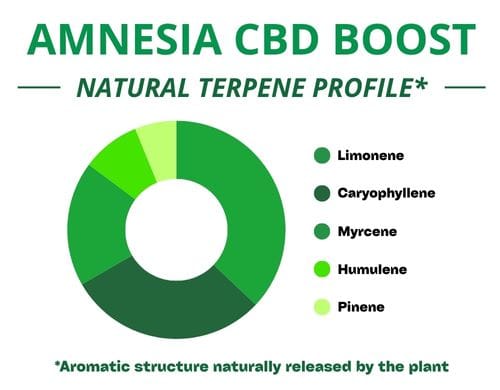 Diagramme circulaire du profil terpénique de la variété Amnesia Cbd Boost