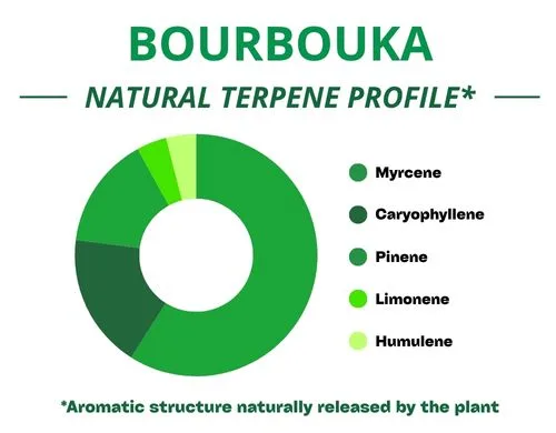 Diagramme circulaire du profil terpénique de la variété Bourbouka