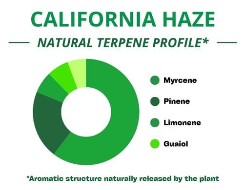Diagramme circulaire du profil terpénique de la variété California Haze