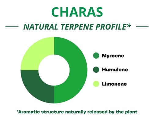 Diagramme circulaire du profil terpénique de la variété Charas