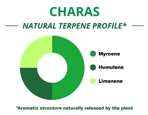 Diagramme circulaire du profil terpénique de la variété Charas