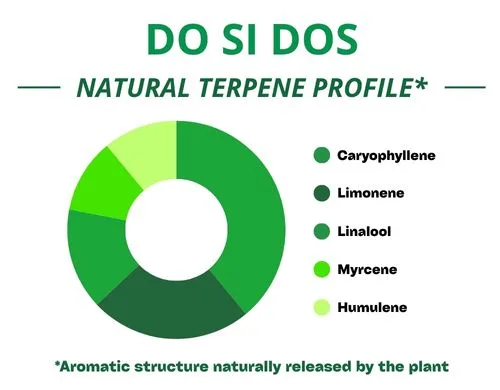 Diagramme circulaire du profil terpénique de la variété Do Si Dos