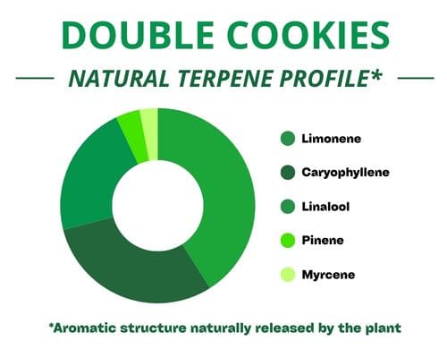 Diagramme circulaire du profil terpénique de la variété Double Cookies