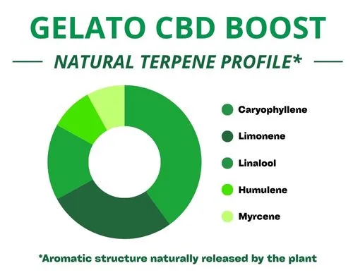 Diagramme circulaire du profil terpénique de la variété Gelato Cbd Boost