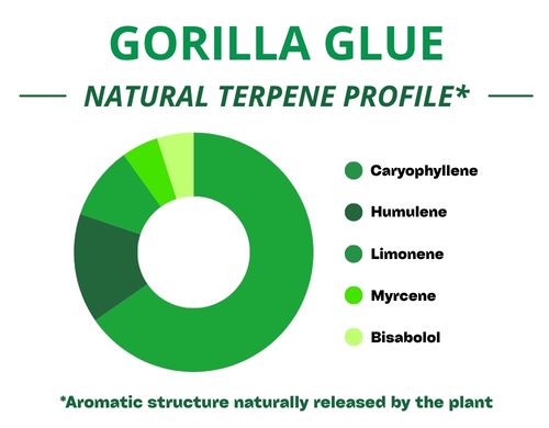 Diagramme circulaire du profil terpénique de la variété Gorilla Glue