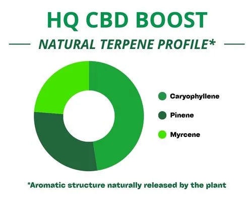 Diagramme circulaire du profil terpénique de la variété HQ Cbd Boost