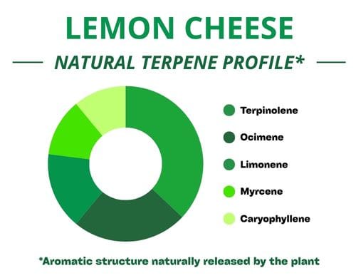 Diagramme circulaire du profil terpénique de la variété Lemon Cheese