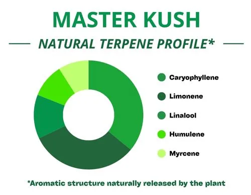Diagramme circulaire du profil terpénique de la variété Master Kush