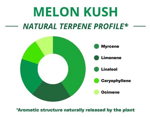 Diagramme circulaire du profil terpénique de la variété Melon Kush