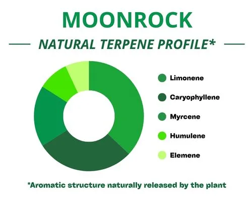 Diagramme circulaire du profil terpénique de la variété Moonrock
