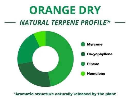 Diagramme circulaire du profil terpénique de la variété Orange Dry