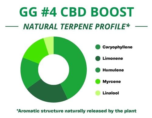 Diagramme circulaire du profil terpénique de la variété Royal GG4