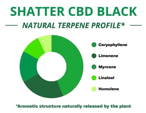 Diagramme circulaire du profil terpénique de la variété Shatter Cbd Black