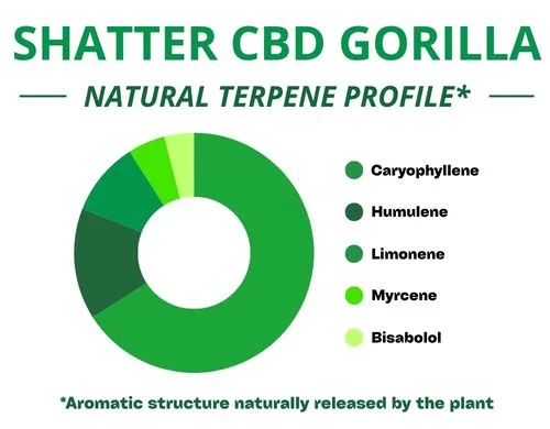 Diagramme circulaire du profil terpénique de la variété Shatter Cbd Gorilla