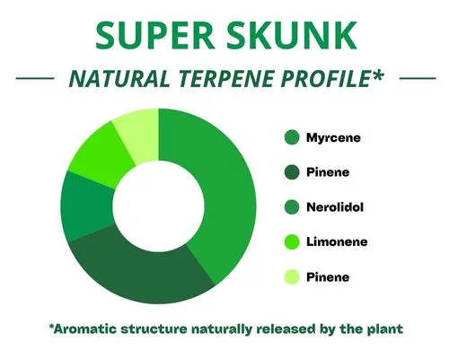 Diagramme circulaire du profil terpénique de la variété Super Skunk